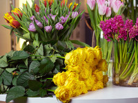 Как ухаживать за срезанными цветами. Часть 1 ...