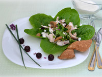 Салат с вишней и йогуртовым соусом - пошаговый рецепт с фото - салат с вишней и йогуртовым соусом - как готовить: ингредиенты, состав, время приготовления...