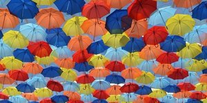 Как наши чувства влияют на нашу жизнь?