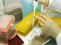 Роспотребнадзор: вред для здоровья ГМО-продукции не доказан