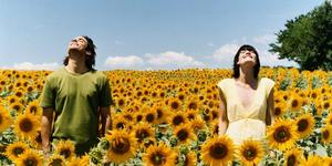 Откуда берутся болезни