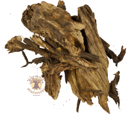 ГРИБОК-НОГТОЕДА У МЕНЯ БЫЛ: ВОТ ЧЕМ ЕГО ИСТРЕБИЛ