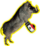 Знают наших! Майк Тайсон написал про русский бокс!