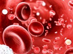 Гипотеза о здоровье крови подтверждена