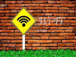 Ученые: Wi-Fi негативно влияет на людей и растения
