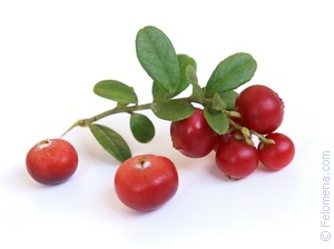 МОЯ МАМА ТРАВНИЦЕЙ БЫЛА И СВОЙ ОПЫТ МНЕ ПЕРЕДАЛА