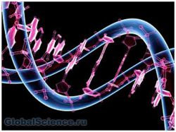 Ученые превратили кровяные клетки в нейроны