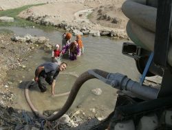 В Ираке требуют ввести в стране режим ЧП из-за холеры