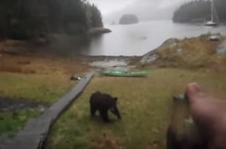 Самая эмоциональная встреча с медведем за всю историю YouTube