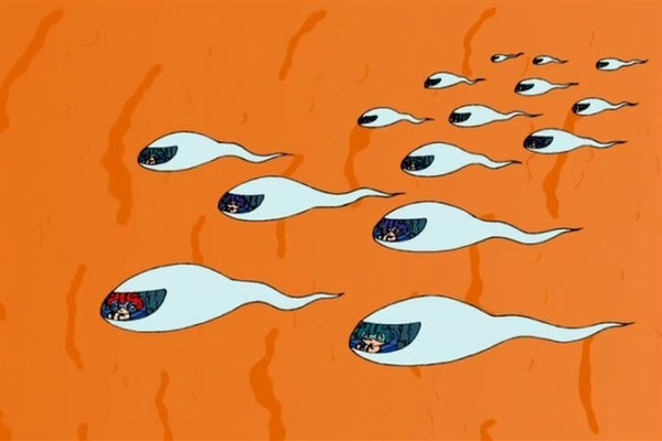 Ученые создали безвредный пероральный контрацептив для мужчин