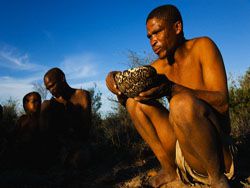 Сколько спали наши предки