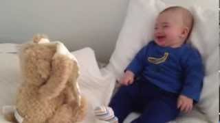 Why a GUND Peek a Boo Bear?