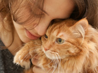 Какое питание поддержит здоровье стерилизованной кошки - Леди Mail.Ru - «Домашние питомцы»
