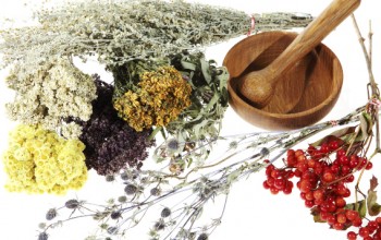 ЧИТАТЕЛЯМ «БАБУШКИ», ЛЮБИМОЙ ГАЗЕТЫ, — МОЙ ОПЫТ ЛЕЧЕНИЯ, РЕЦЕПТЫ, СОВЕТЫ