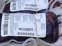 Американцам будут переливать кровь доноров-геев