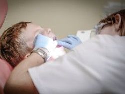 В Японии научились выращивать зубы