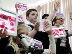 На Западе отказываются от электронных книг