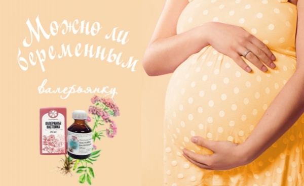 Чем успокоиться: можно ли беременным валерьянку - «Беременность»