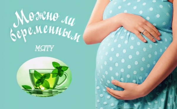 Мята при беременности: можно ли беременным пить чай с мятой - «Беременность»