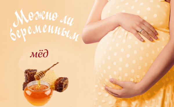 Мёд при беременности: польза или вред - «Беременность»
