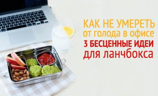Что взять на обед на работу: 3 рецепта отличных ланчей для офиса