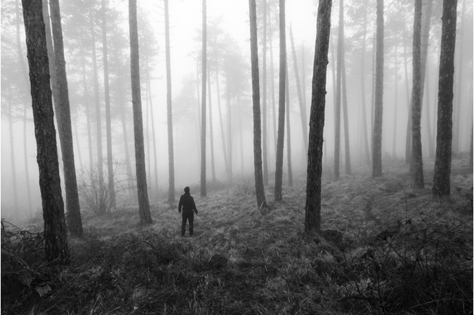 Как пережить одиночество - «Гармония»