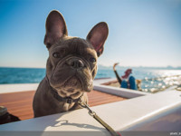 Куда можно ехать - «Дом»