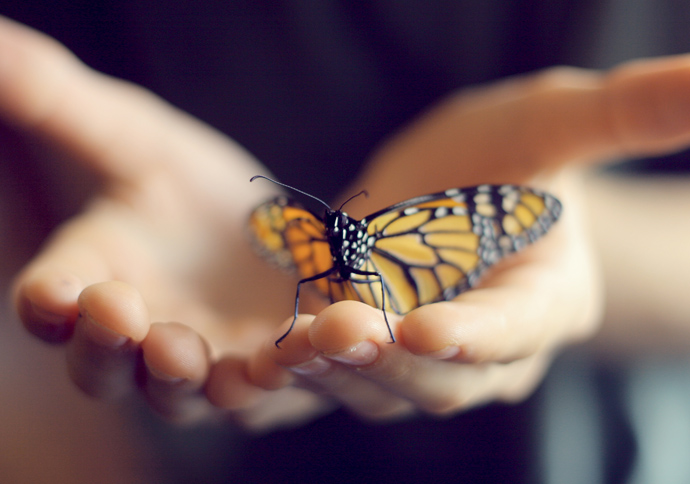 Чувствительные люди - «Гармония»
