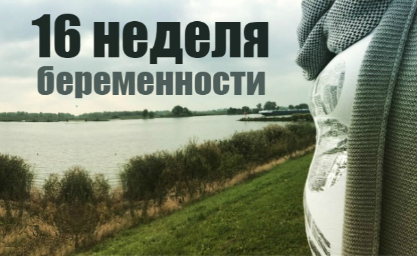 Как выглядит живот на 16 неделе беременности: 12 фото из Инстаграма