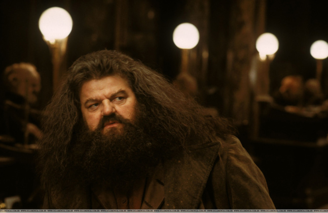 Как ухаживать за бородой