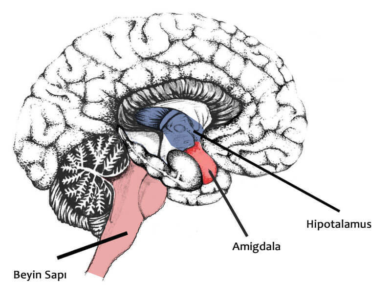 Выход из тупика - «Стиль жизни»
