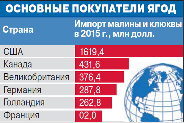 Как разбогатеть на малине и клюкве? - «Бизнес»