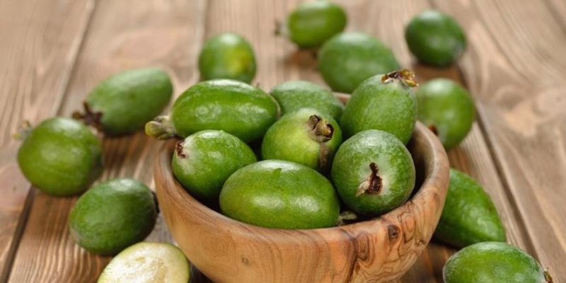 Мощный источник йода - «Здоровье»