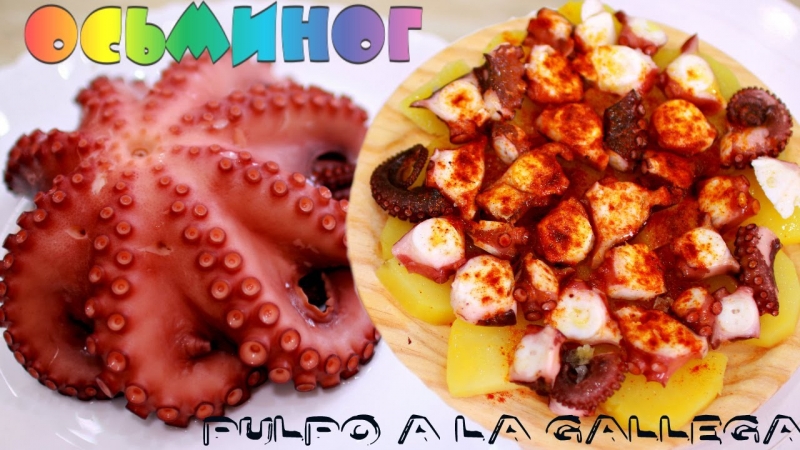 ОСЬМИНОГ / Как приготовить / Pulpo a la gallego.  - «Видео советы»