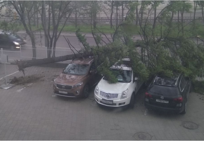 Ураган в Москве: подборка самых пугающих видео и фото!