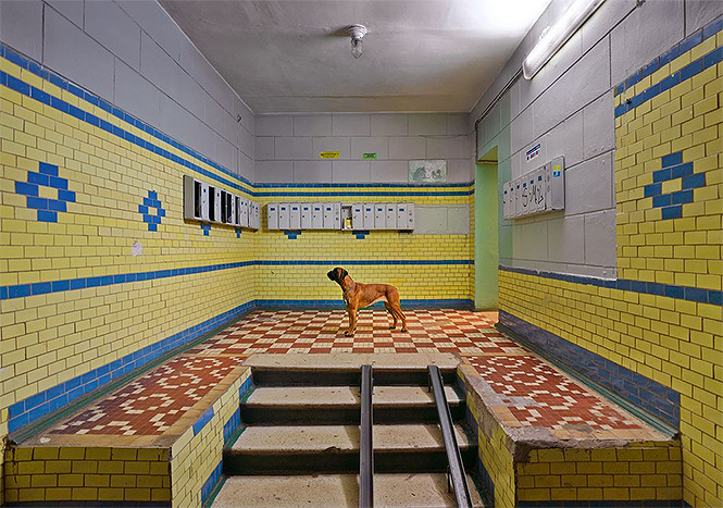 Россия глазами немца