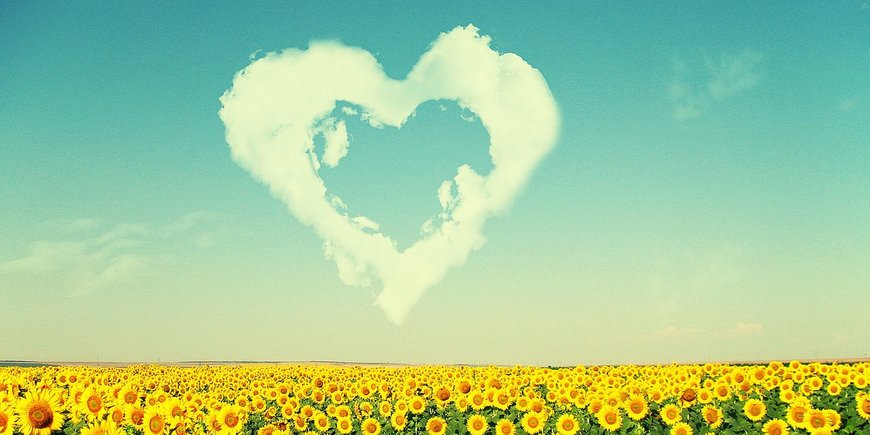 Гороскоп на август 2017 - «Стиль жизни»