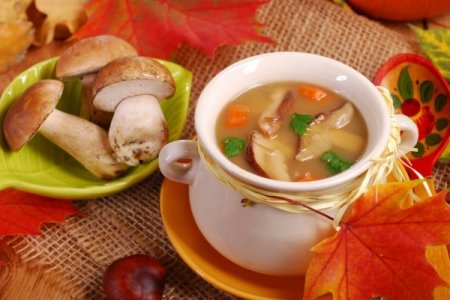 Сливочный суп с лесными грибами - «Первое блюдо»