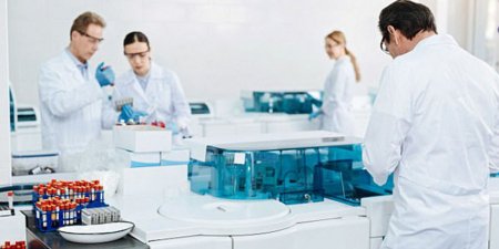 Ученые впервые вырастили кости - «Здоровье»