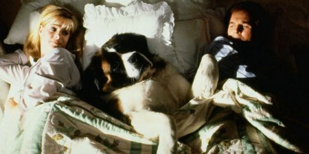 В постели с животным - «Здоровье»