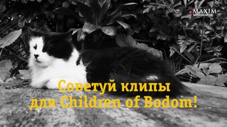 Скоро в Видеосалоне Children of Bodom!  - «Видео советы»