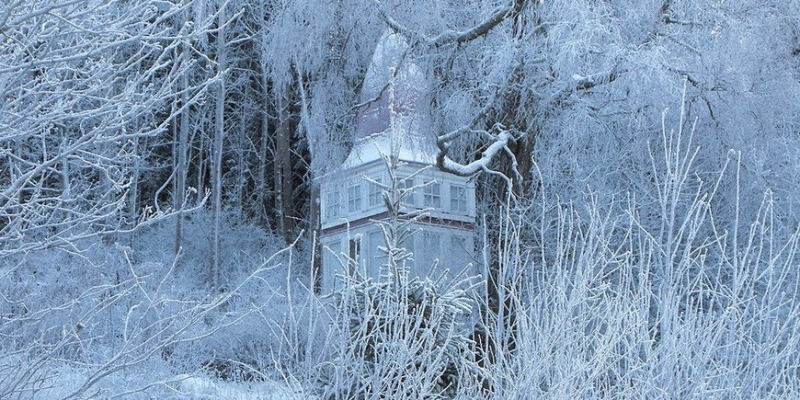 Что можно и нельзя в Рождественский пост - «Стиль жизни»