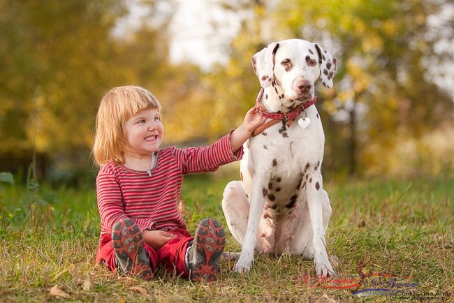 Дети и собаки – лучшие друзья