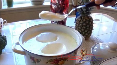 Руководство по приготовлению домашнего йогурта
