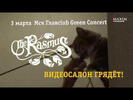 The Rasmus едут в Видеосалон!  - «Видео советы»