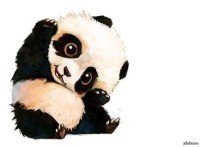 Дмитрий Борисов принес извинения за то, что в «Пусть говорят» перепутали снимки погибших - «Психология»