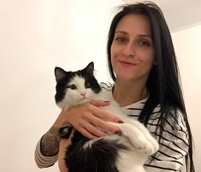 Сухой и влажный корм для кошек: из чего делают кошачий корм и вреден ли он? - «Дом»