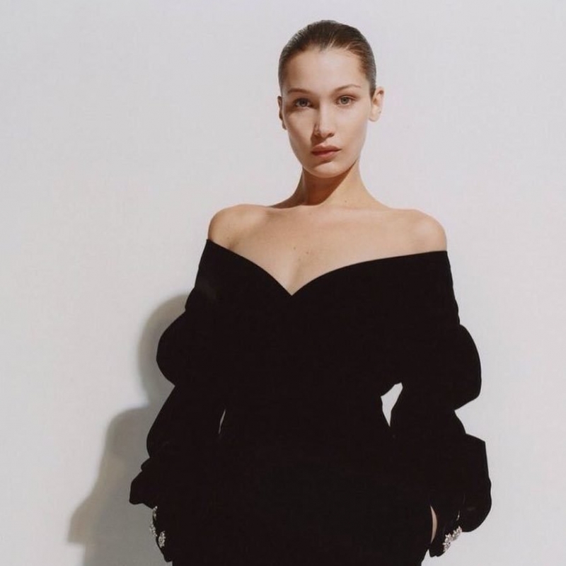 «А вдруг потом замуж за принца?»: Белла Хадид и Кендалл Дженнер купаются топлес - «Домашние Питомцы»