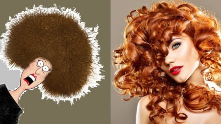 7 средств, которые превратят "убитые" волосы в роскошную шевелюру - «Домашние Питомцы»