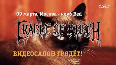 Cradle of Filth едут в Видеосалон!  - «Видео советы»
